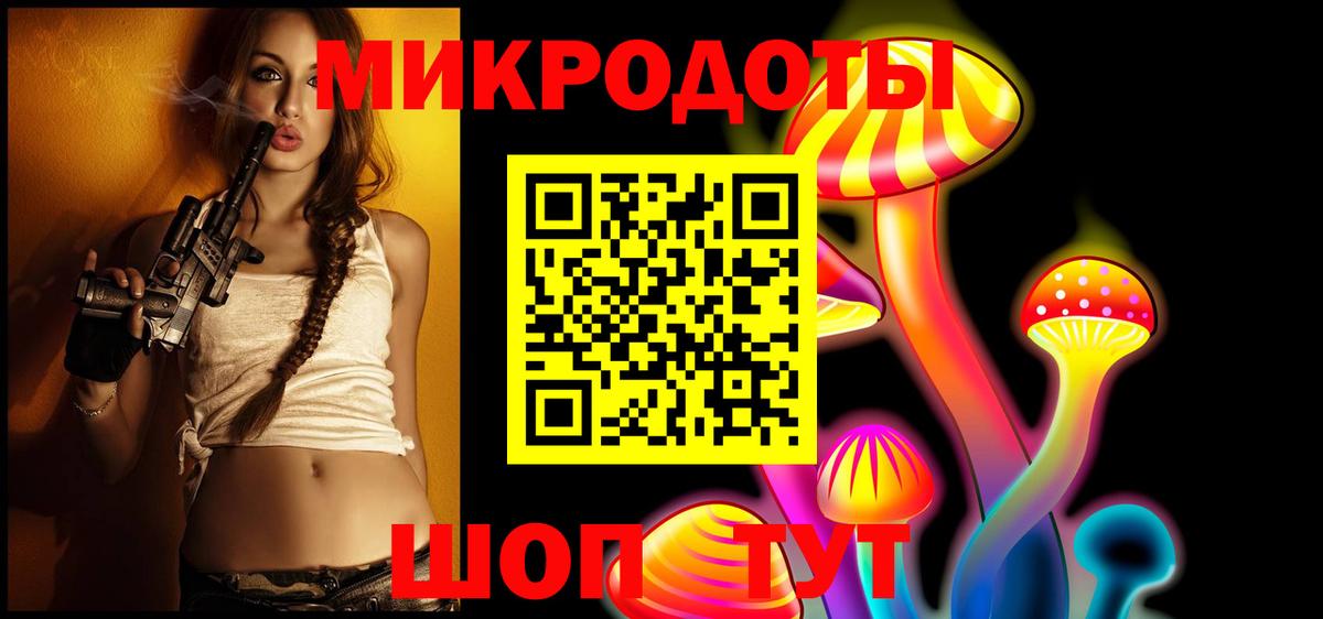 Псилоцибиновые грибы Psilocybine cubensis Коммунар